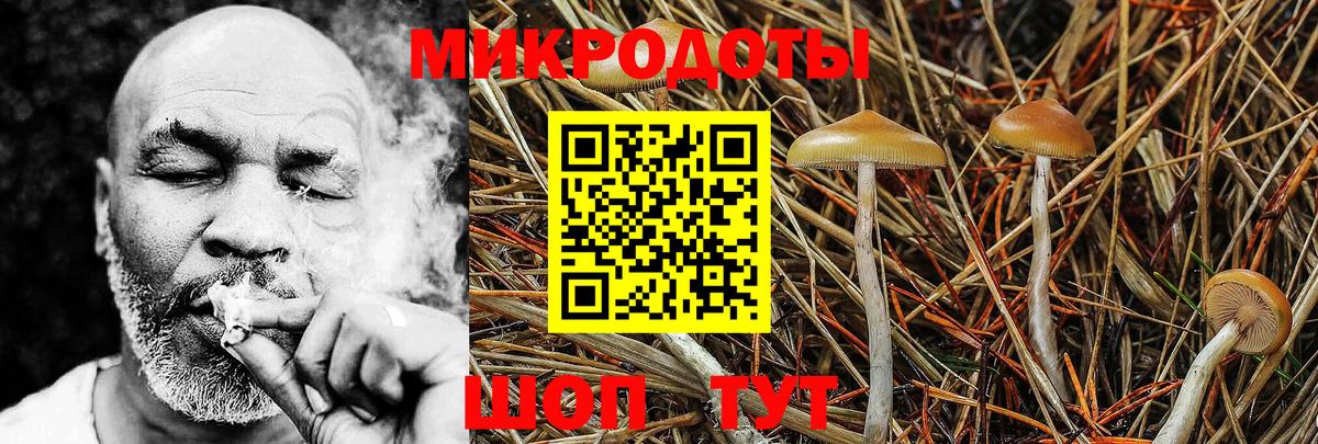 Псилоцибиновые грибы MAGIC MUSHROOMS Смоленск