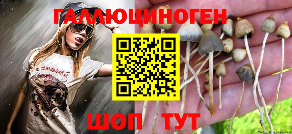 Псилоцибиновые грибы Psilocybe  Псилоцибиновые грибы ЛСД  Смоленск  Вход с VPN 